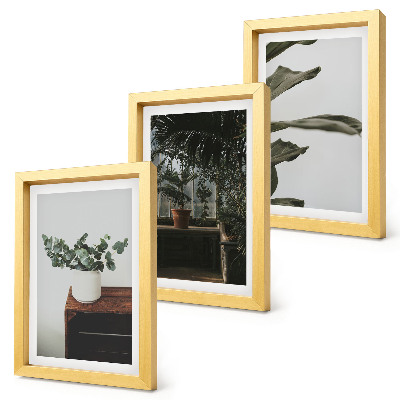 Juego de 3 cuadros decorativos Plantas en maceta con hojas rústicas