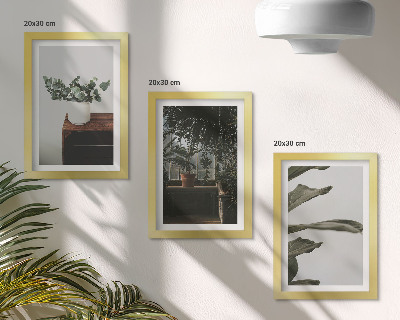 Juego de 3 cuadros decorativos Plantas en maceta con hojas rústicas