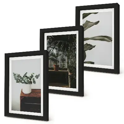 Juego de 3 cuadros decorativos con diseño de plantas en maceta de hojas rústicas