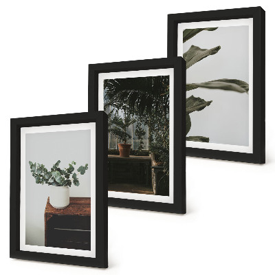 Juego de 3 cuadros decorativos Plantas en maceta con hojas rústicas