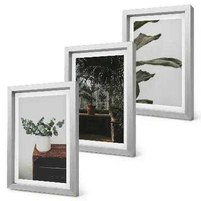 Juego de 3 cuadros decorativos con diseño de plantas en maceta de hojas rústicas