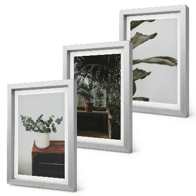 Juego de 3 cuadros decorativos Plantas en maceta con hojas rústicas