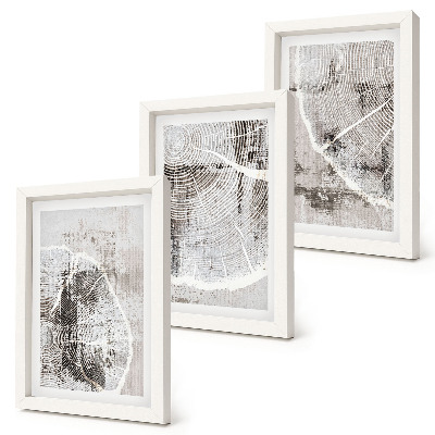 Juego de 3 cuadros decorativos Patrones de vetas de madera en tonos grises y blancos.