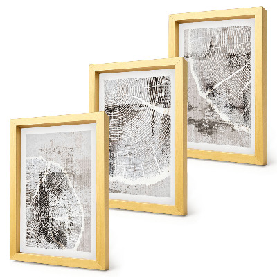 Juego de 3 cuadros decorativos Patrones de vetas de madera en tonos grises y blancos.
