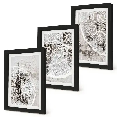 Juego de 3 cuadros decorativos con diseño de vetas de madera en tonos grises y blancos