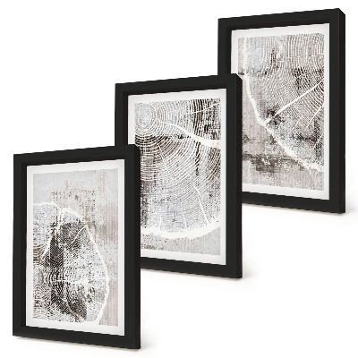 Juego de 3 cuadros decorativos Patrones de vetas de madera en tonos grises y blancos.