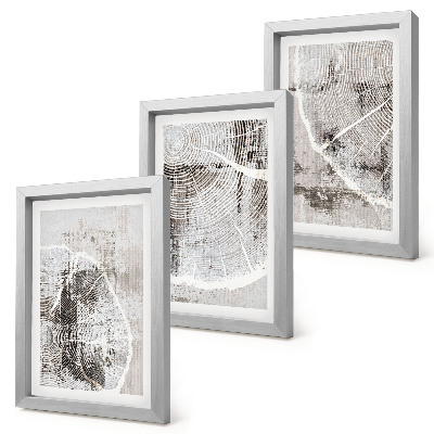 Juego de 3 cuadros decorativos Patrones de vetas de madera en tonos grises y blancos.