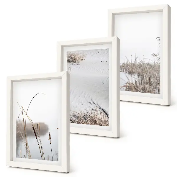 Juego de 3 cuadros decorativos con diseño de vegetación acuática y vistas de verano