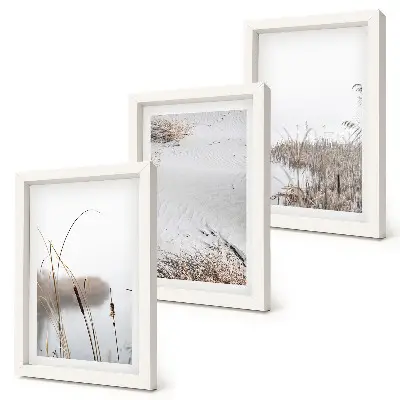 Juego de 3 cuadros decorativos con diseño de vegetación acuática y vistas de verano