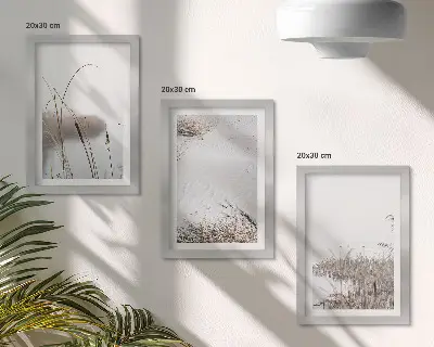 Juego de 3 cuadros decorativos con diseño de vegetación acuática y vistas de verano