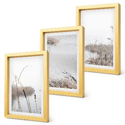 Juego de 3 cuadros decorativos con diseño de vegetación acuática y vistas de verano