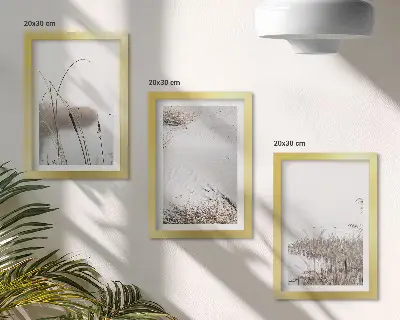 Juego de 3 cuadros decorativos con diseño de vegetación acuática y vistas de verano