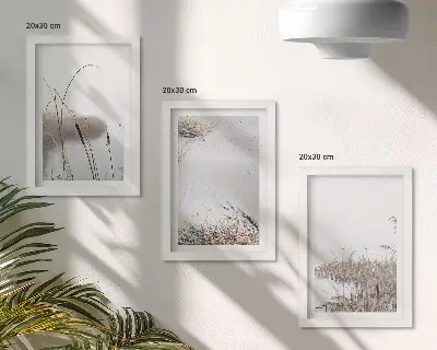 Juego de 3 cuadros decorativos con diseño de vegetación acuática y vistas de verano