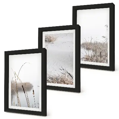 Juego de 3 cuadros decorativos con diseño de vegetación acuática y vistas de verano
