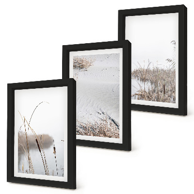 Juego de 3 cuadros decorativos Vegetación acuática delicadas vistas de verano