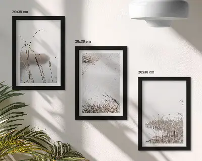 Juego de 3 cuadros decorativos con diseño de vegetación acuática y vistas de verano