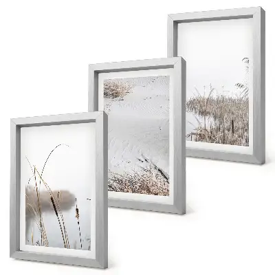Juego de 3 cuadros decorativos con diseño de vegetación acuática y vistas de verano