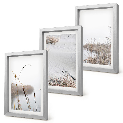 Juego de 3 cuadros decorativos Vegetación acuática delicadas vistas de verano