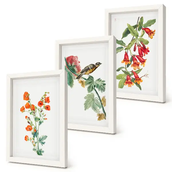 Juego de 3 cuadros decorativos con diseño retro de flores y pájaro en una rama