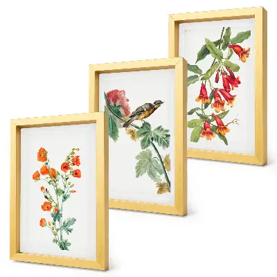 Juego de 3 cuadros decorativos con diseño retro de flores y pájaro en una rama