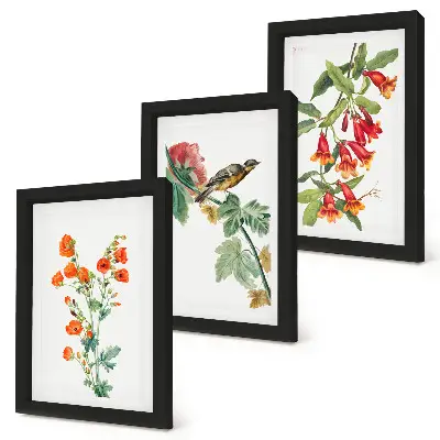Juego de 3 cuadros decorativos con diseño retro de flores y pájaro en una rama
