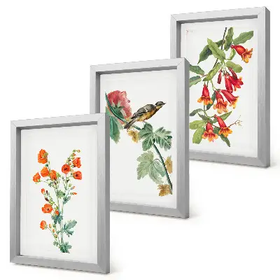 Juego de 3 cuadros decorativos con diseño retro de flores y pájaro en una rama