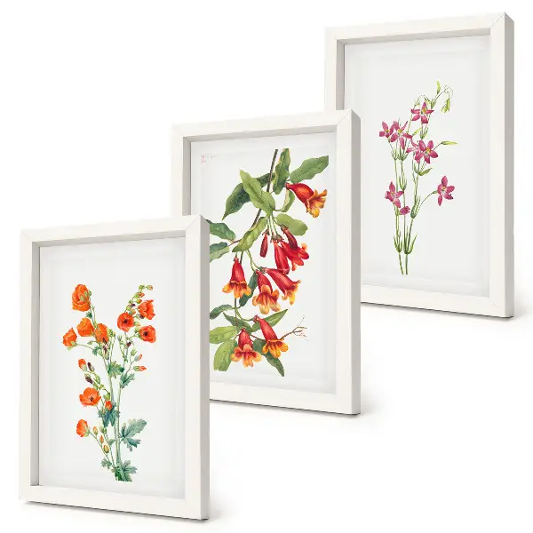 Tríptico de pintura floral estilo retro vintage enmarcado