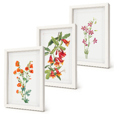 Tríptico enmarcado Pintura floral retro vintage