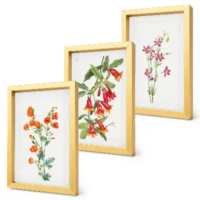Tríptico de pintura floral estilo retro vintage enmarcado