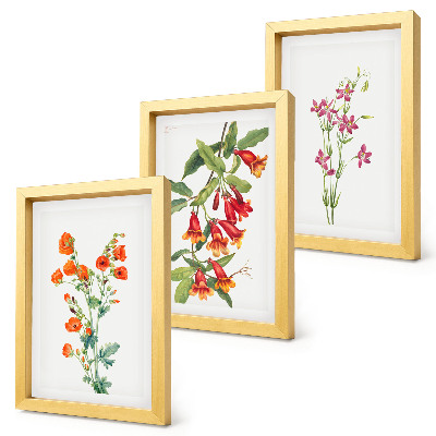 Tríptico enmarcado Pintura floral retro vintage