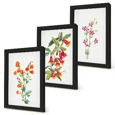 Tríptico de pintura floral estilo retro vintage enmarcado