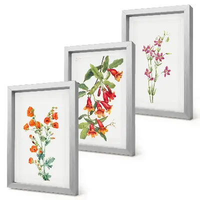 Tríptico de pintura floral estilo retro vintage enmarcado