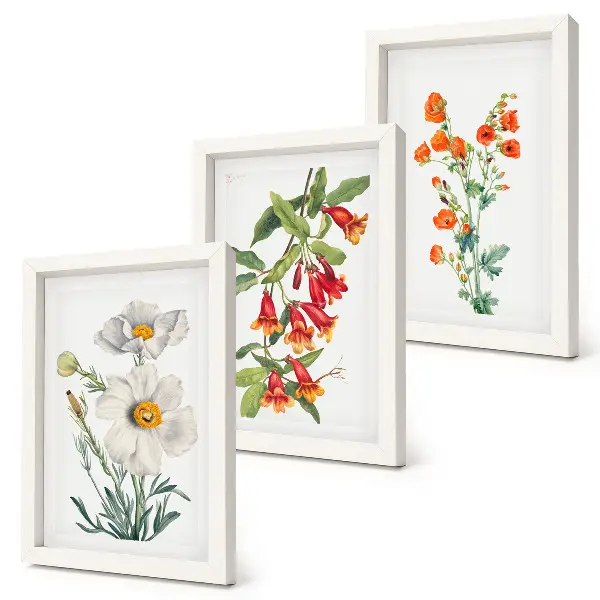 Juego de 3 cuadros decorativos con pintura de composiciones florales de estilo retro vintage