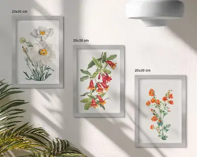 Juego de 3 cuadros decorativos con pintura de composiciones florales de estilo retro vintage