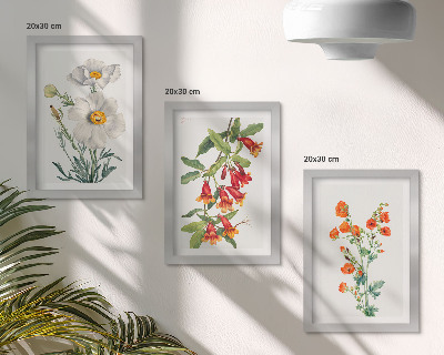 Juego de 3 cuadros decorativos Pintura de composiciones florales de estilo retro vintage.