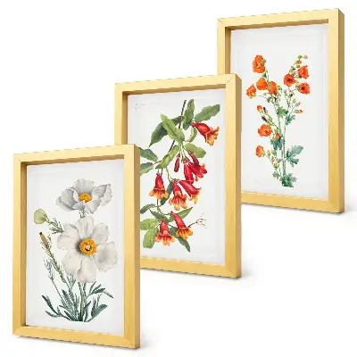 Juego de 3 cuadros decorativos con pintura de composiciones florales de estilo retro vintage