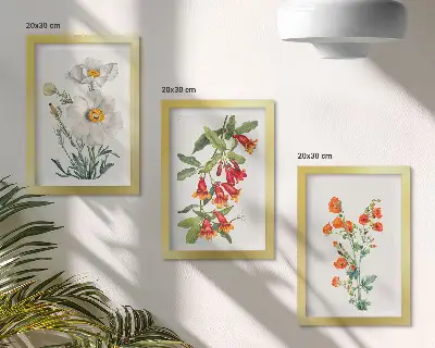 Juego de 3 cuadros decorativos con pintura de composiciones florales de estilo retro vintage