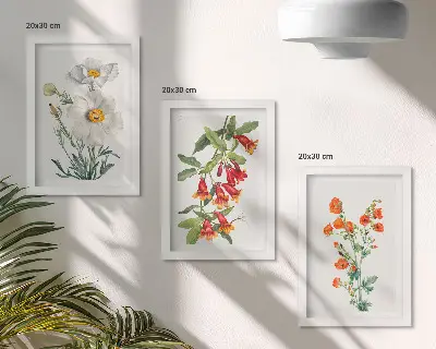 Juego de 3 cuadros decorativos con pintura de composiciones florales de estilo retro vintage