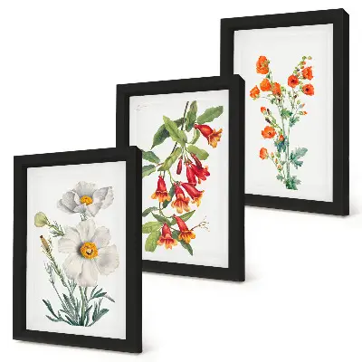 Juego de 3 cuadros decorativos con pintura de composiciones florales de estilo retro vintage