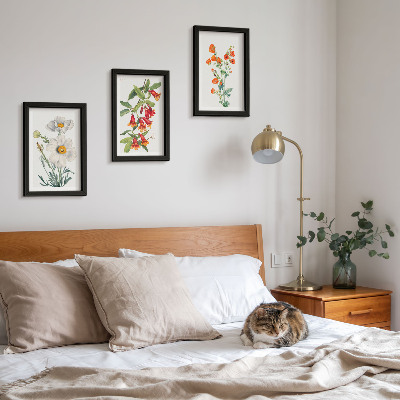 Juego de 3 cuadros decorativos Pintura de composiciones florales de estilo retro vintage.