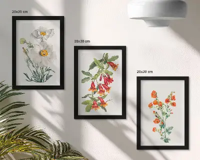 Juego de 3 cuadros decorativos con pintura de composiciones florales de estilo retro vintage
