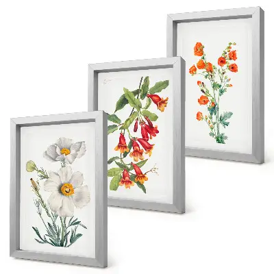 Juego de 3 cuadros decorativos con pintura de composiciones florales de estilo retro vintage