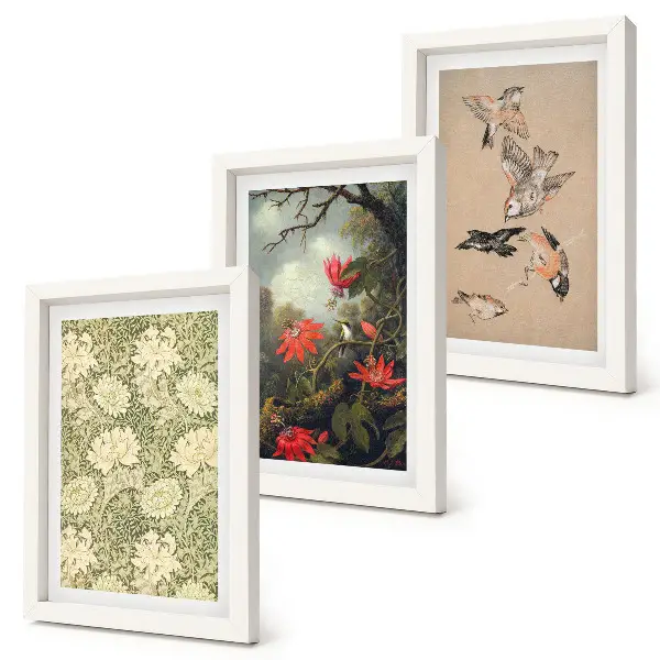 Juego de 3 cuadros decorativos con diseño de flores y pájaros en entornos naturales