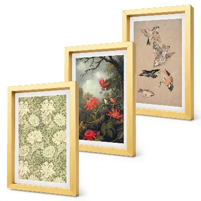 Juego de 3 cuadros decorativos con diseño de flores y pájaros en entornos naturales