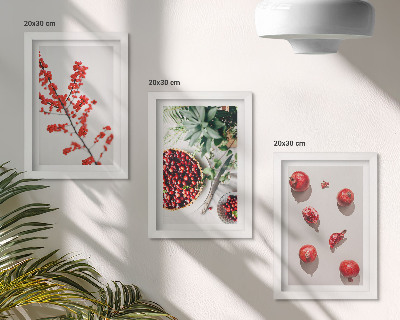 Juego de 3 cuadros decorativos Frutas rojas y plantas en un estilo minimalista.