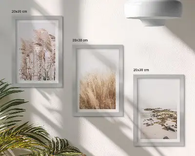 Juego de 3 cuadros decorativos con diseño de campos de hierba pampeana y playa bohemia