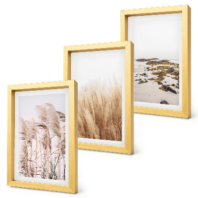 Juego de 3 cuadros decorativos Campos de hierba pampeana y una playa bohemia