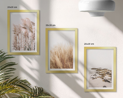 Juego de 3 cuadros decorativos Campos de hierba pampeana y una playa bohemia