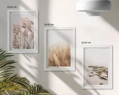 Juego de 3 cuadros decorativos con diseño de campos de hierba pampeana y playa bohemia