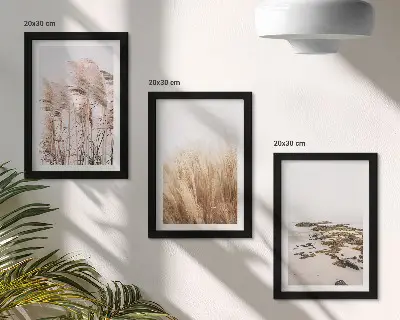 Juego de 3 cuadros decorativos con diseño de campos de hierba pampeana y playa bohemia